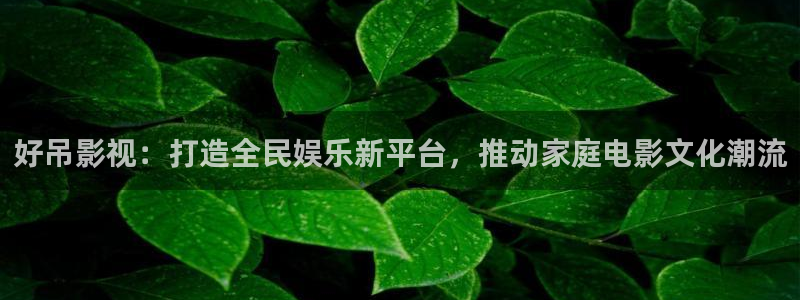 新视觉yy6080高清电视剧在线：好吊影视：打造全民娱乐新平台，推动家庭电影文化潮流