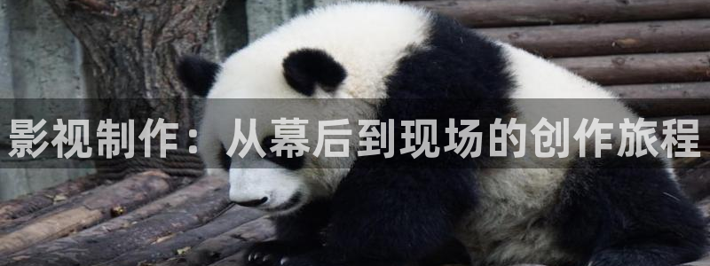 新视觉6080免费影院