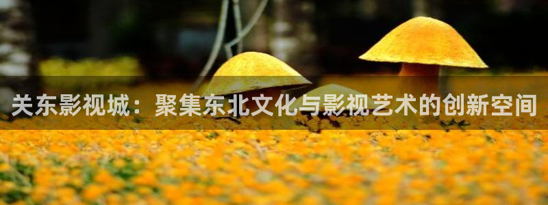 6080午夜私人影院