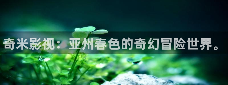 新视觉yy6080免费影院